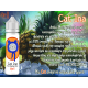 CATina - Pina Colada Ice 60ml - After-8